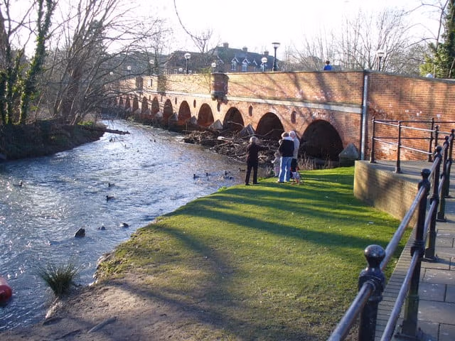 Chartered Surveyors Leatherhead